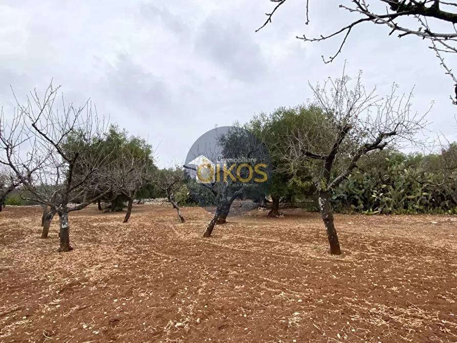 Immagine 14 di Terreno residenziale in vendita  in Contrada Bellocchio a Monopoli