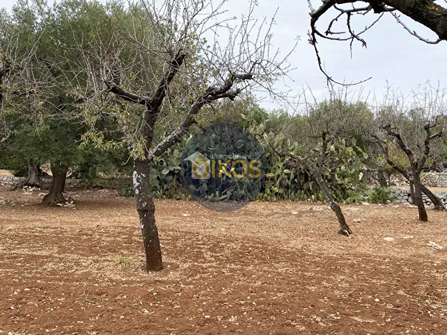Immagine 15 di Terreno residenziale in vendita  in Contrada Bellocchio a Monopoli