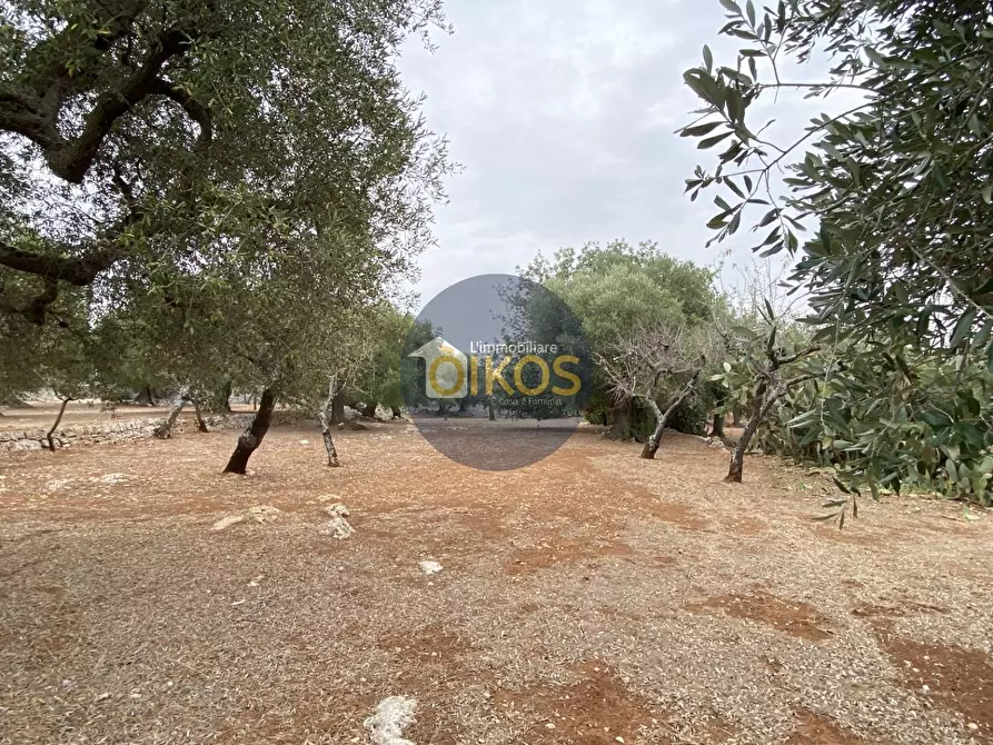 Immagine 16 di Terreno residenziale in vendita  in Contrada Bellocchio a Monopoli