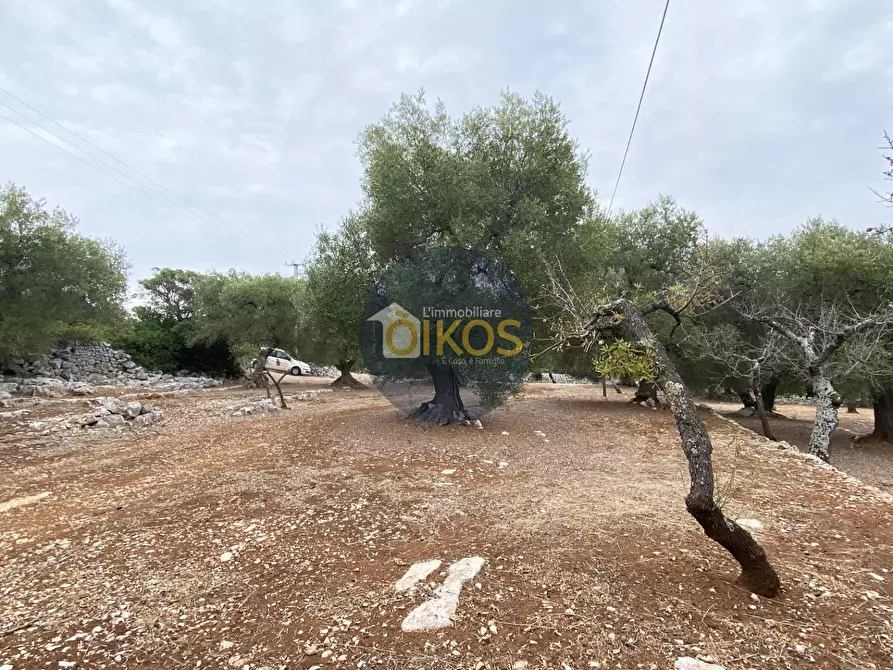 Immagine 18 di Terreno residenziale in vendita  in Contrada Bellocchio a Monopoli