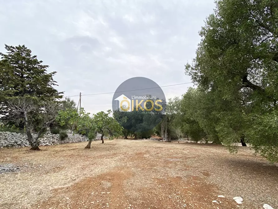 Immagine 19 di Terreno residenziale in vendita  in Contrada Bellocchio a Monopoli