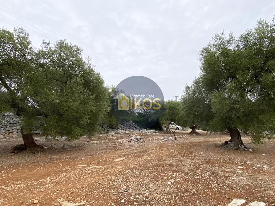 Immagine 20 di Terreno residenziale in vendita  in Contrada Bellocchio a Monopoli
