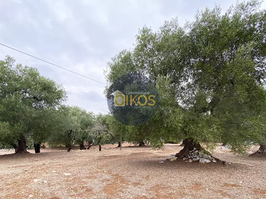 Immagine 21 di Terreno residenziale in vendita  in Contrada Bellocchio a Monopoli