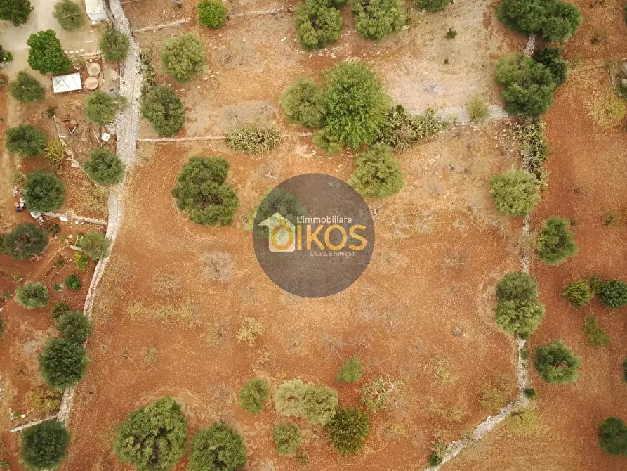 Immagine 25 di Terreno residenziale in vendita  in Contrada Bellocchio a Monopoli