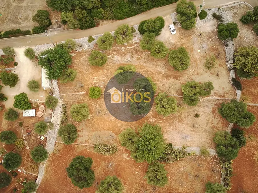 Immagine 26 di Terreno residenziale in vendita  in Contrada Bellocchio a Monopoli