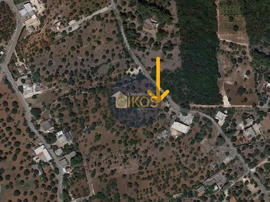 Immagine 28 di Terreno residenziale in vendita  in Contrada Bellocchio a Monopoli