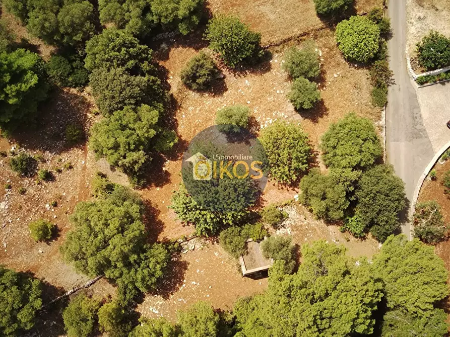 Immagine 6 di Terreno agricolo in vendita  in Contrada Torchiano a Monopoli