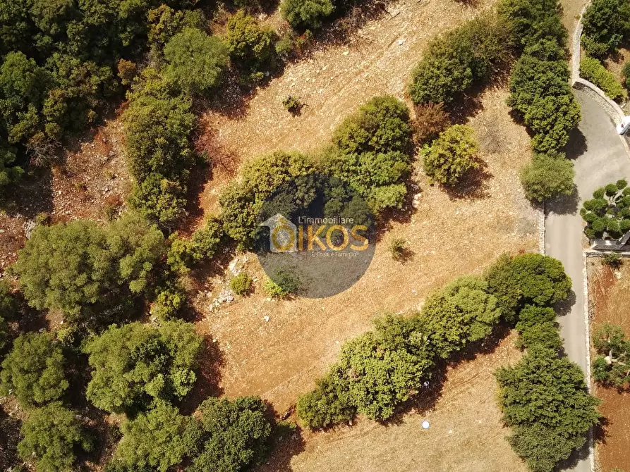 Immagine 8 di Terreno agricolo in vendita  in Contrada Torchiano a Monopoli