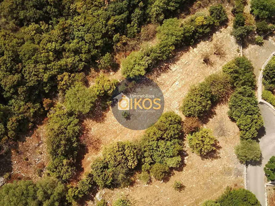 Immagine 9 di Terreno agricolo in vendita  in Contrada Torchiano a Monopoli