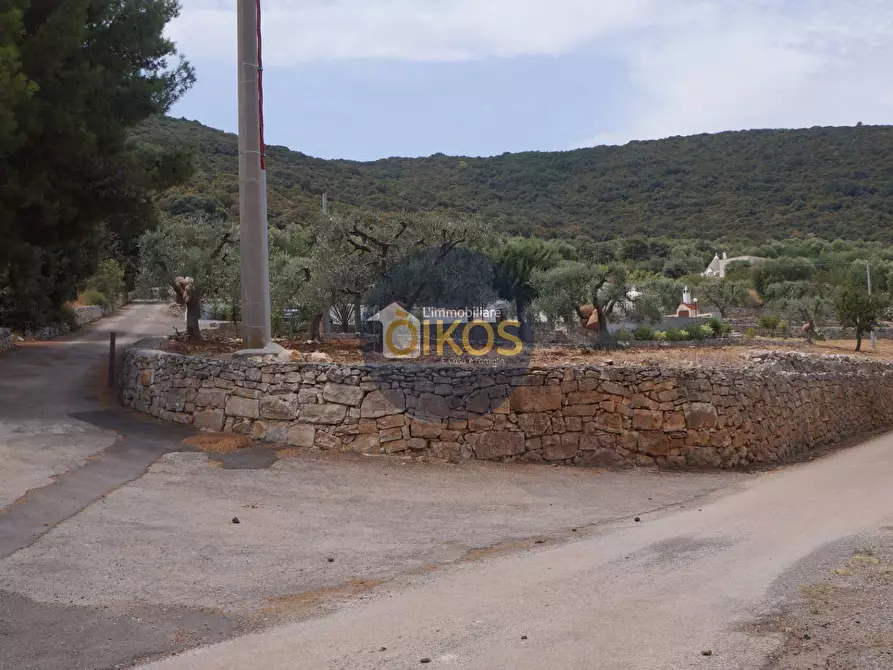 Immagine 12 di Terreno agricolo in vendita  in Contrada Torchiano a Monopoli