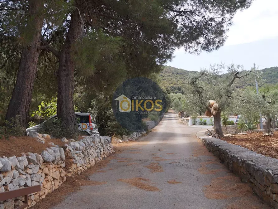 Immagine 14 di Terreno agricolo in vendita  in Contrada Torchiano a Monopoli