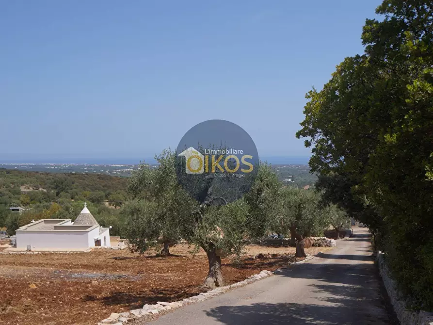 Immagine 15 di Terreno agricolo in vendita  in Contrada Torchiano a Monopoli