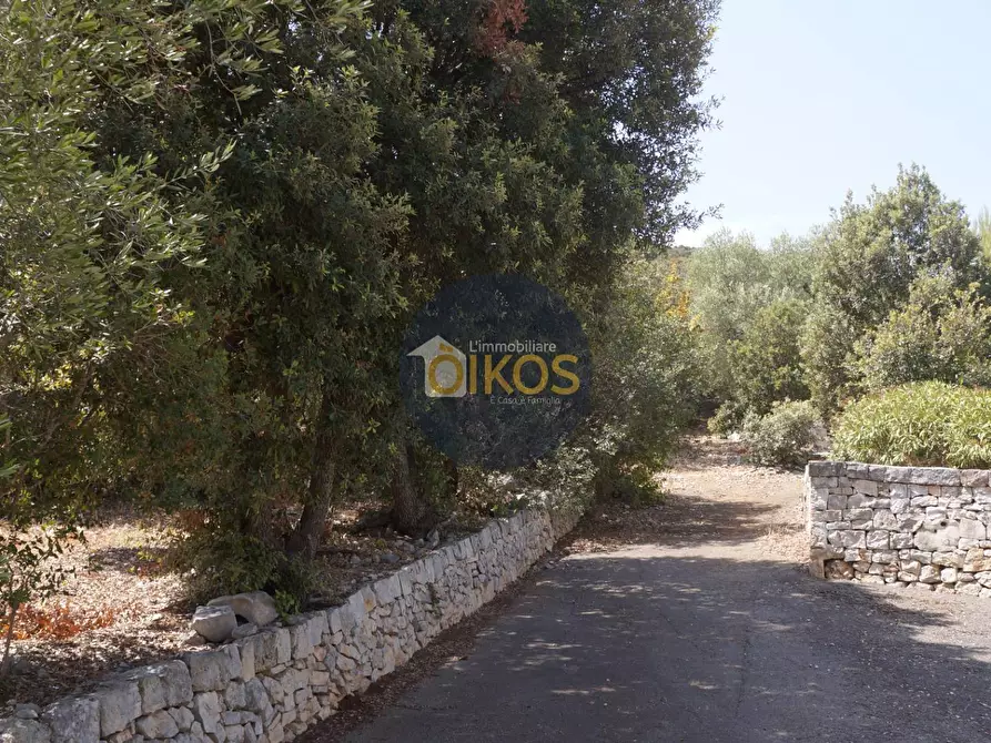 Immagine 16 di Terreno agricolo in vendita  in Contrada Torchiano a Monopoli