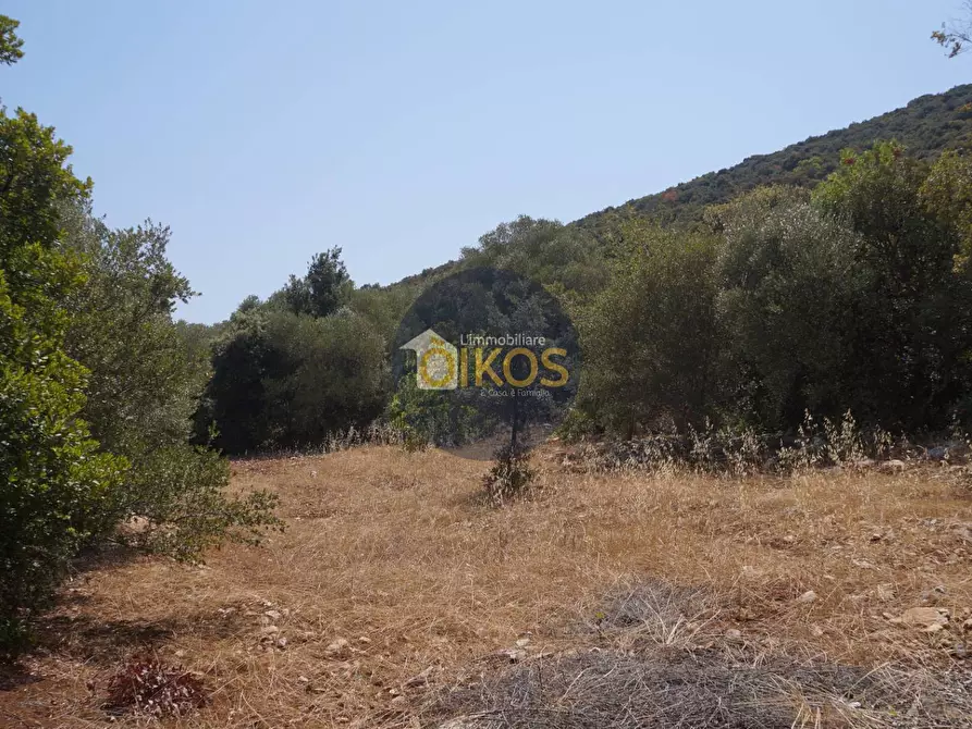 Immagine 17 di Terreno agricolo in vendita  in Contrada Torchiano a Monopoli
