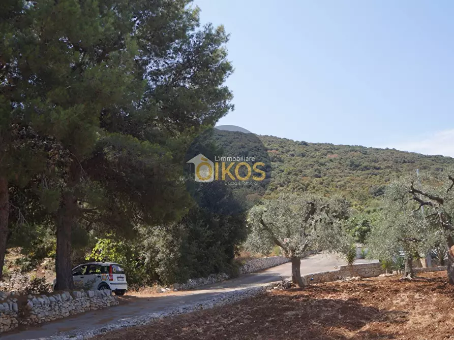 Immagine 21 di Terreno agricolo in vendita  in Contrada Torchiano a Monopoli