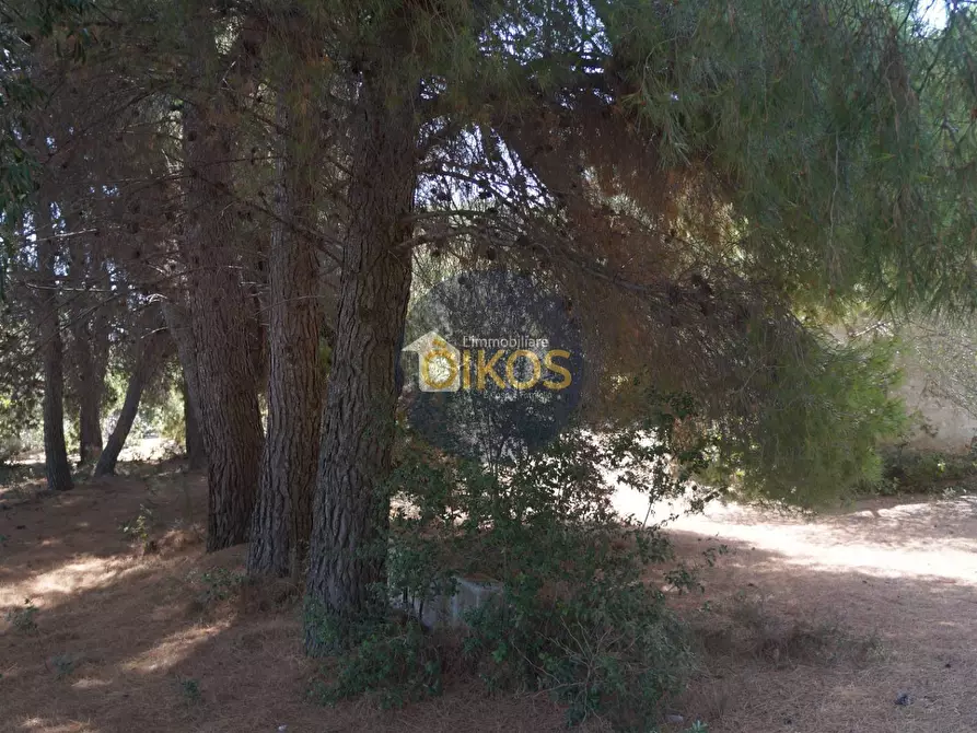 Immagine 23 di Terreno agricolo in vendita  in Contrada Torchiano a Monopoli