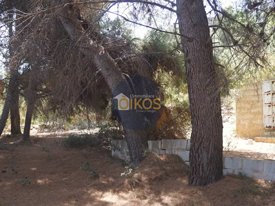 Immagine 32 di Terreno agricolo in vendita  in Contrada Torchiano a Monopoli