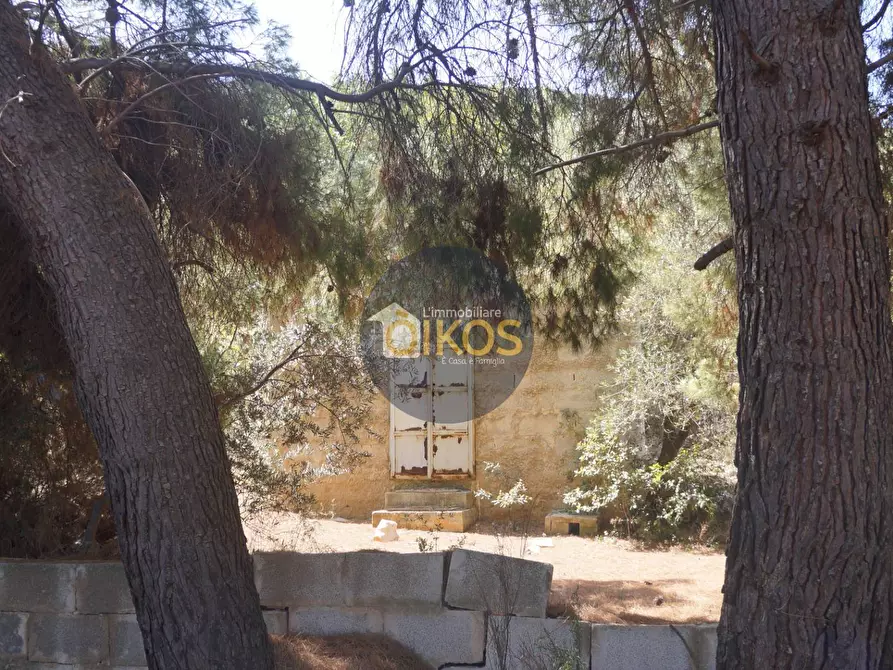 Immagine 33 di Terreno agricolo in vendita  in Contrada Torchiano a Monopoli