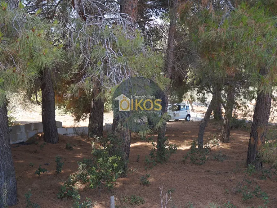 Immagine 34 di Terreno agricolo in vendita  in Contrada Torchiano a Monopoli