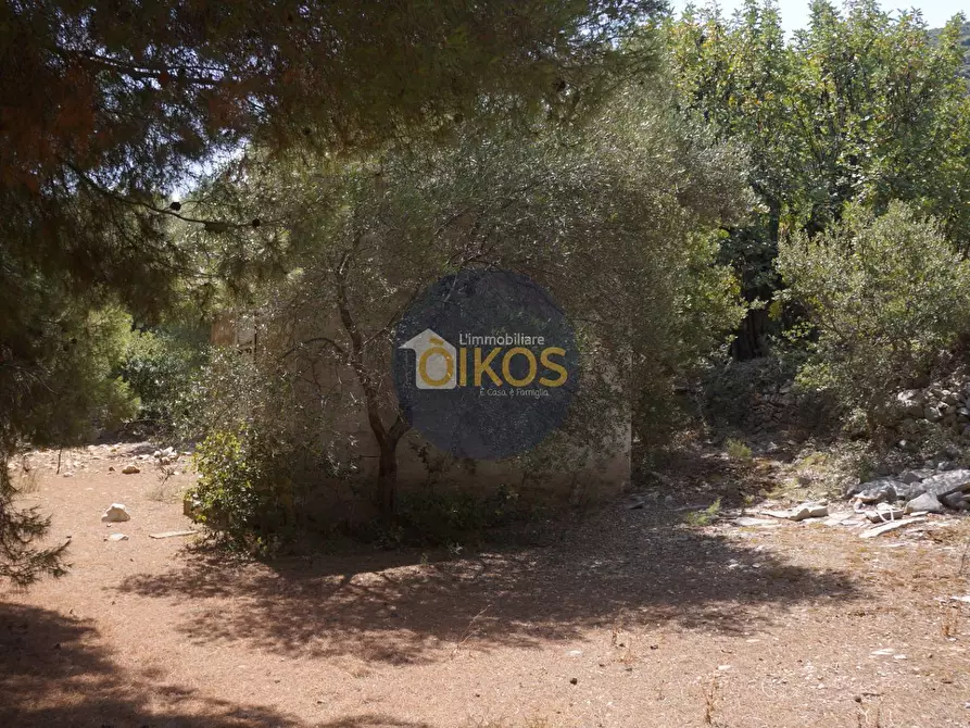 Immagine 35 di Terreno agricolo in vendita  in Contrada Torchiano a Monopoli