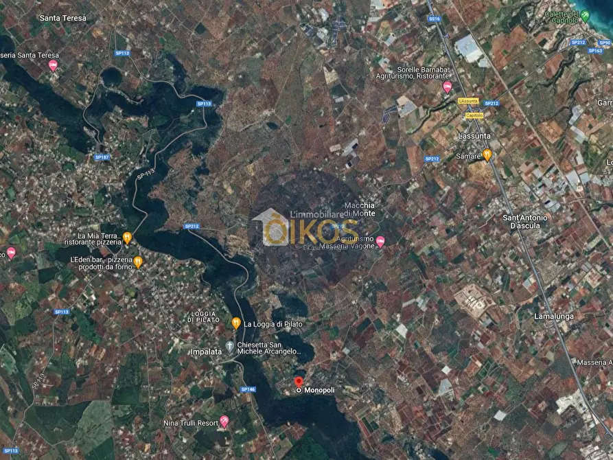 Immagine 36 di Terreno agricolo in vendita  in Contrada Torchiano a Monopoli