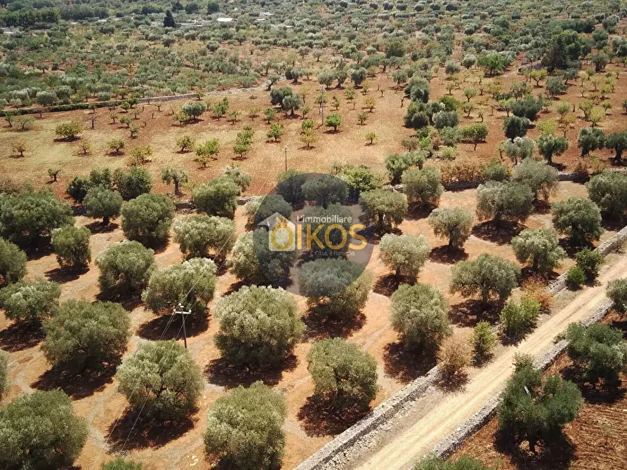 Immagine 1 di Terreno agricolo in vendita  in Via Castiglione a Conversano