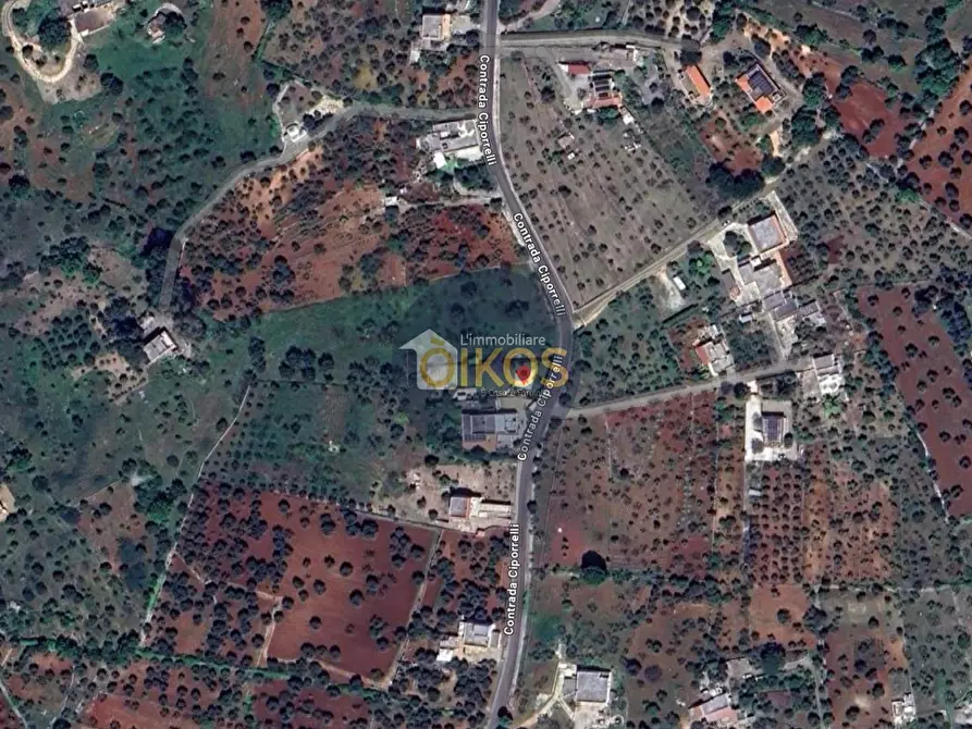 Immagine 80 di Villa in vendita  in Contrada Ciporrelli 395/C a Monopoli