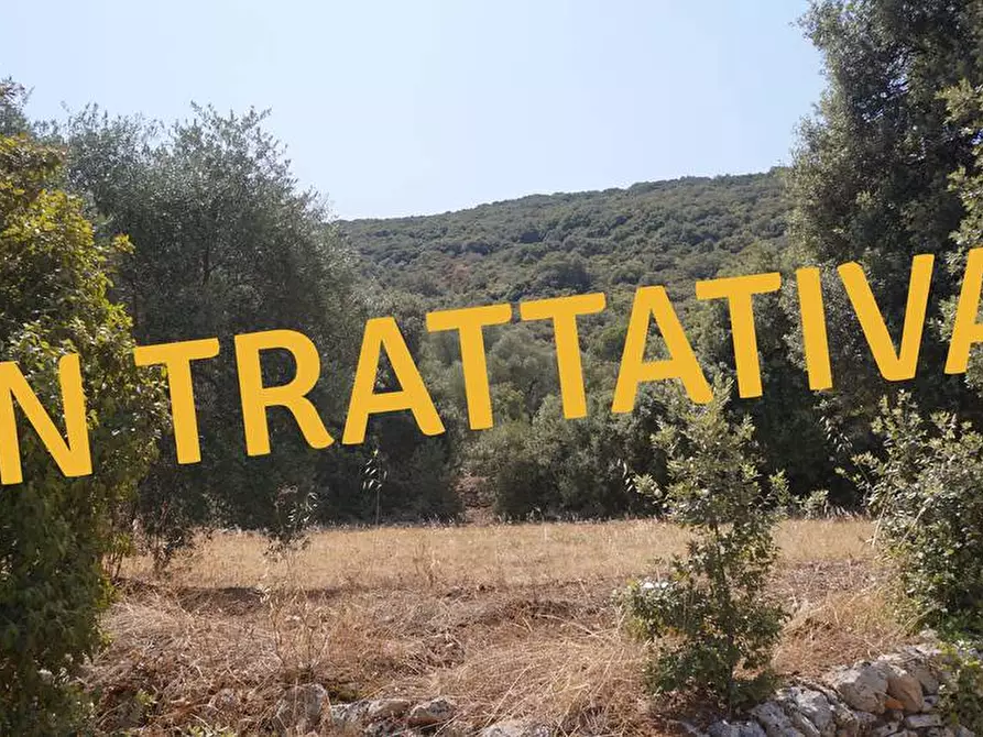 Immagine 1 di Terreno agricolo in vendita  in Contrada Torchiano a Monopoli