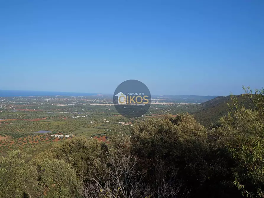 Immagine 20 di Villetta a schiera in vendita  in Contrada Impalata 484 a Monopoli