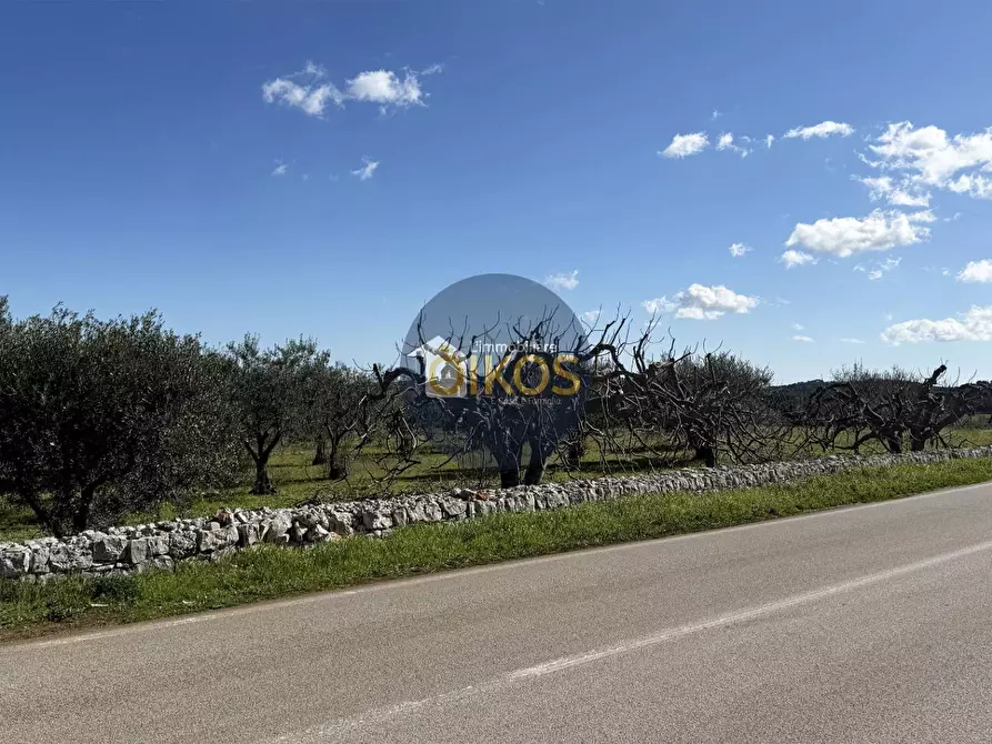 Immagine 30 di Rustico / casale in vendita  in Contrada Sorba snc a Monopoli