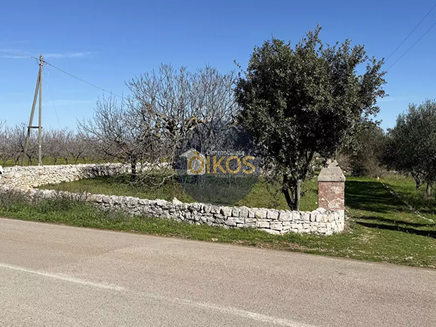 Immagine 3 di Rustico / casale in vendita  in Contrada Sorba snc a Monopoli