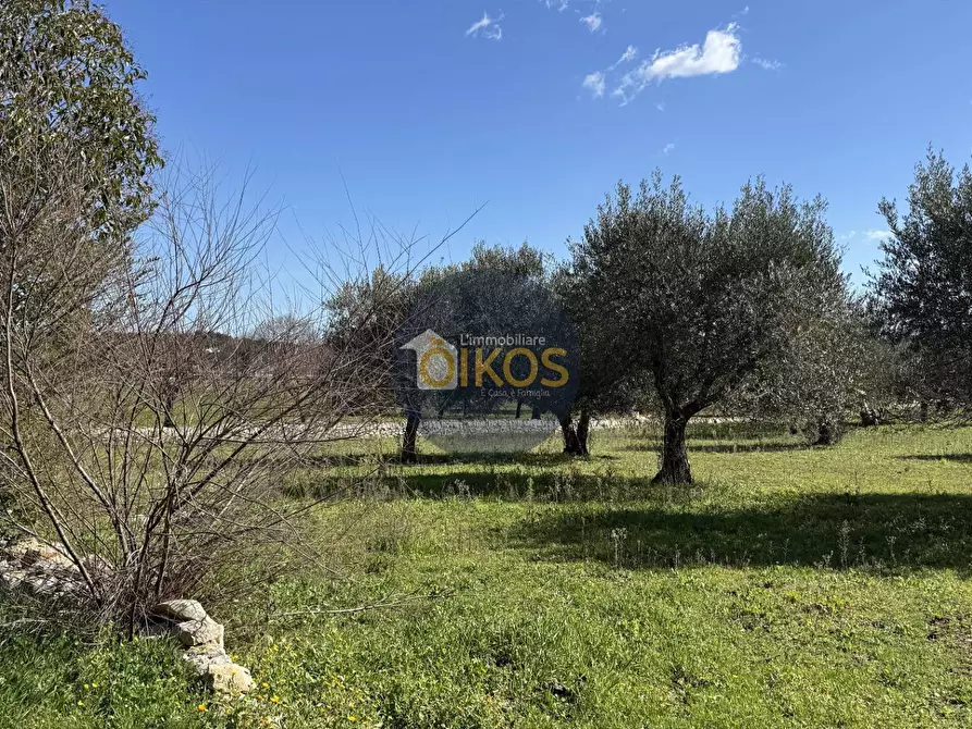 Immagine 7 di Rustico / casale in vendita  in Contrada Sorba snc a Monopoli