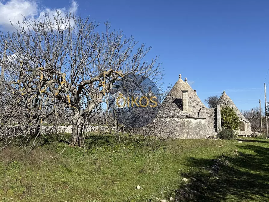 Immagine 11 di Rustico / casale in vendita  in Contrada Sorba snc a Monopoli