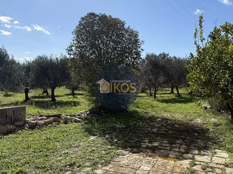 Immagine 31 di Rustico / casale in vendita  in Contrada Sorba snc a Monopoli