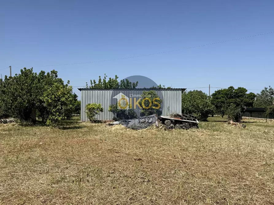 Immagine 18 di Terreno agricolo in vendita  in contrada Lamione snc a Conversano