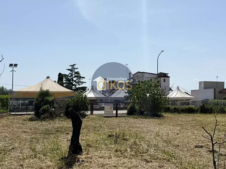 Immagine 3 di Terreno agricolo in vendita  in contrada Lamione snc a Conversano