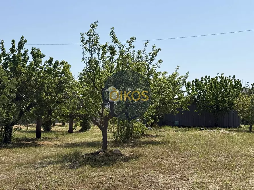 Immagine 5 di Terreno agricolo in vendita  in contrada Lamione snc a Conversano