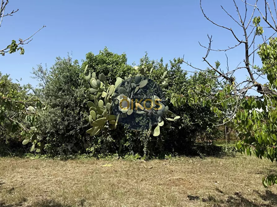 Immagine 12 di Terreno agricolo in vendita  in contrada Lamione snc a Conversano