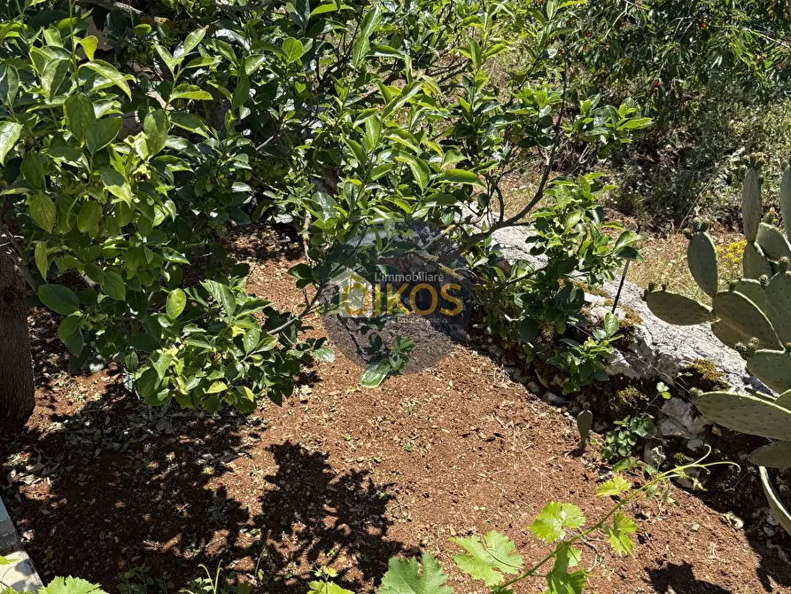 Immagine 38 di Casa indipendente in vendita  in c.da Canale di Pirro snc a Fasano