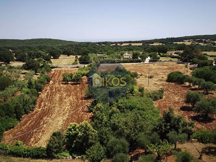 Immagine 12 di Terreno agricolo in vendita  in contrada Aratico snc a Monopoli