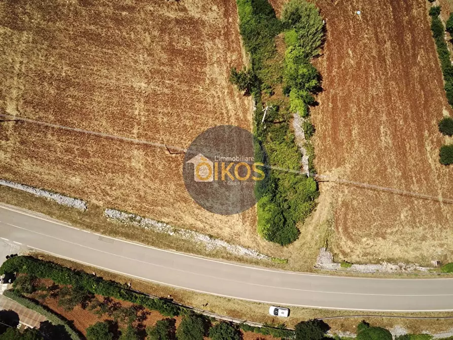 Immagine 26 di Terreno agricolo in vendita  in contrada Aratico snc a Monopoli