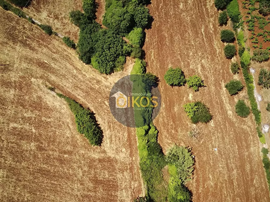 Immagine 29 di Terreno agricolo in vendita  in contrada Aratico snc a Monopoli