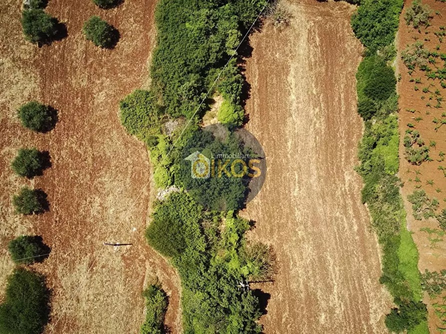 Immagine 30 di Terreno agricolo in vendita  in contrada Aratico snc a Monopoli