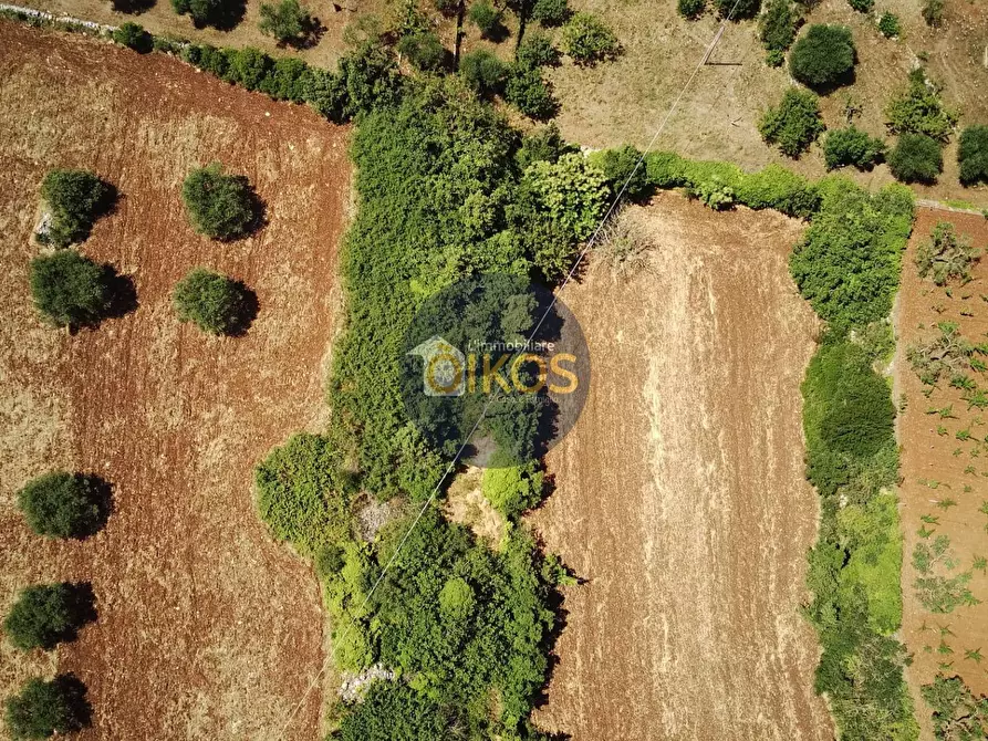 Immagine 31 di Terreno agricolo in vendita  in contrada Aratico snc a Monopoli