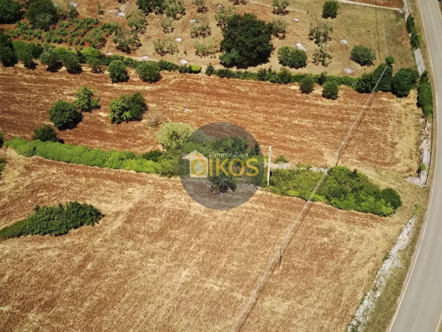 Immagine 27 di Terreno agricolo in vendita  in contrada Aratico snc a Monopoli