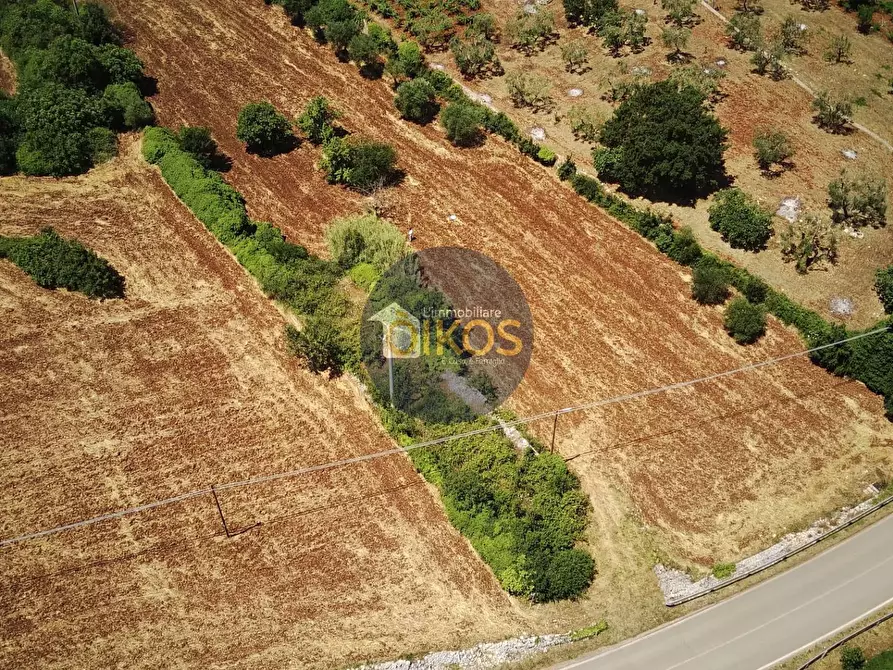 Immagine 28 di Terreno agricolo in vendita  in contrada Aratico snc a Monopoli
