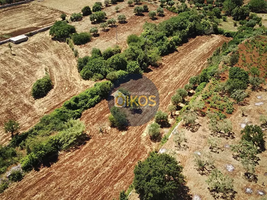 Immagine 1 di Terreno agricolo in vendita  in contrada Aratico snc a Monopoli