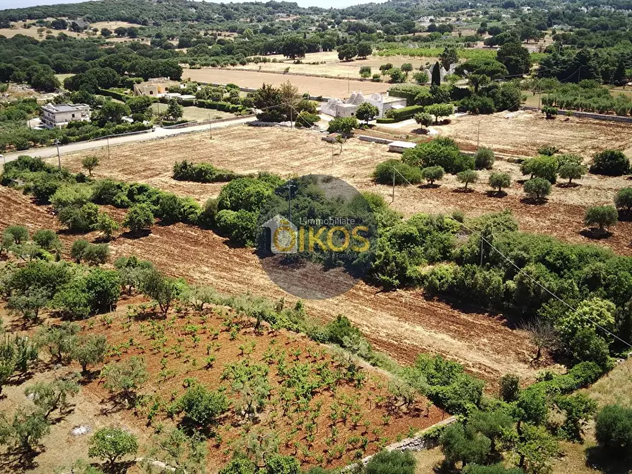 Immagine 32 di Terreno agricolo in vendita  in contrada Aratico snc a Monopoli