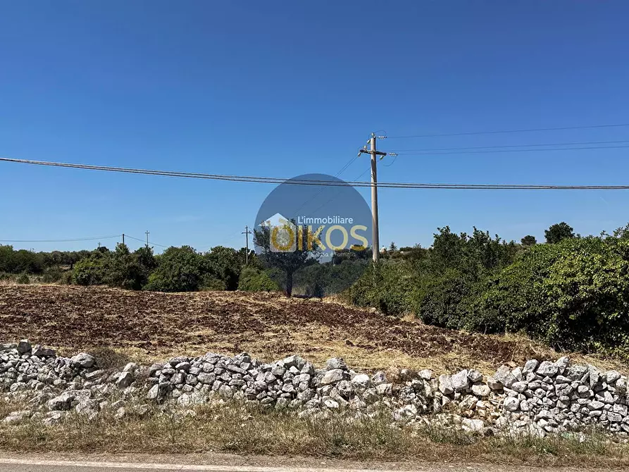 Immagine 5 di Terreno agricolo in vendita  in contrada Aratico snc a Monopoli