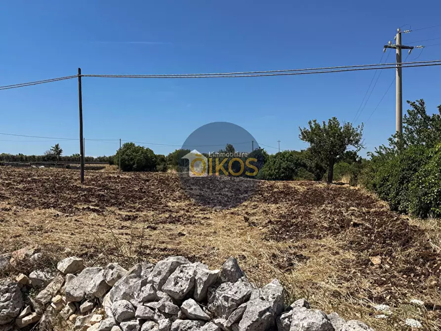 Immagine 6 di Terreno agricolo in vendita  in contrada Aratico snc a Monopoli